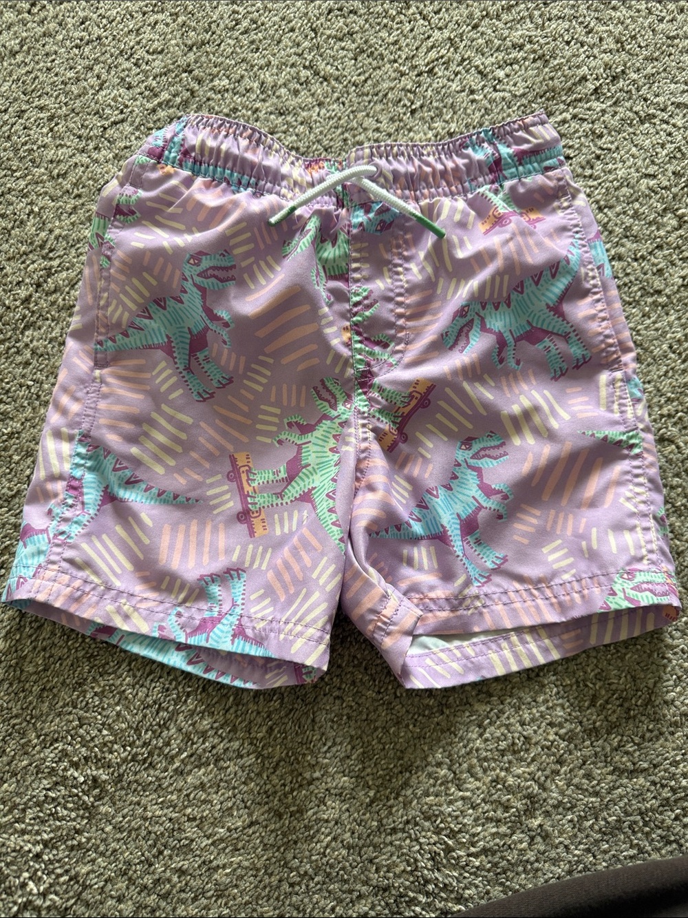 Cat & Jack Kids Purple and Mint Dinosaur Swim Trunks